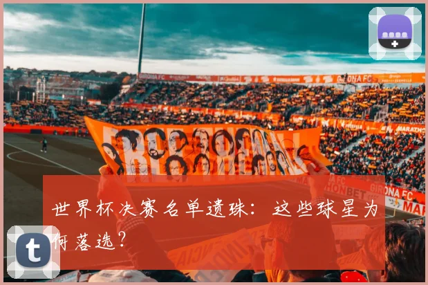 世界杯决赛名单遗珠:这些球星为何落选?