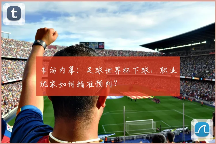 专访内幕:足球世界杯下球,职业玩家如何精准预判?