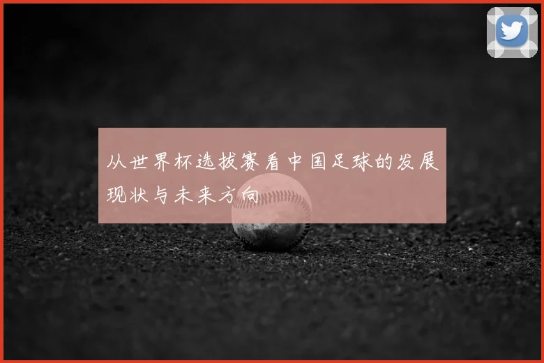 从世界杯选拔赛看中国足球的发展现状与未来方向