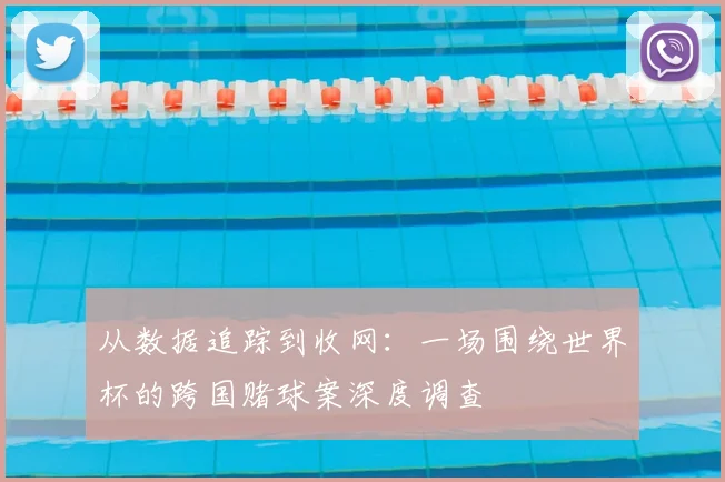 从数据追踪到收网：一场围绕世界杯的跨国赌球案深度调查