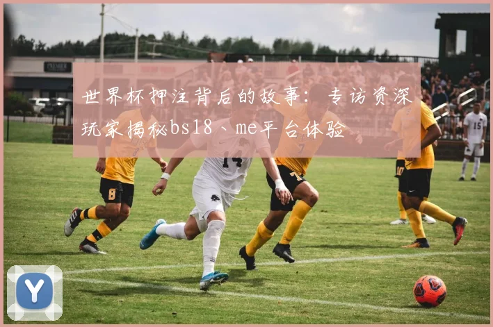 世界杯押注背后的故事：专访资深玩家揭秘bs18丶me平台体验